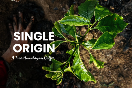 Taste Rare, Single-Origin Himalayan Coffee Like Never Before