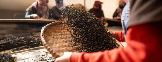 Bringing Nepal’s Finest Organic Tea and Coffee to the U.S.