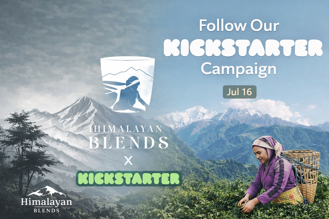Jul 16 -  Follow Our Kickstarter Campaign